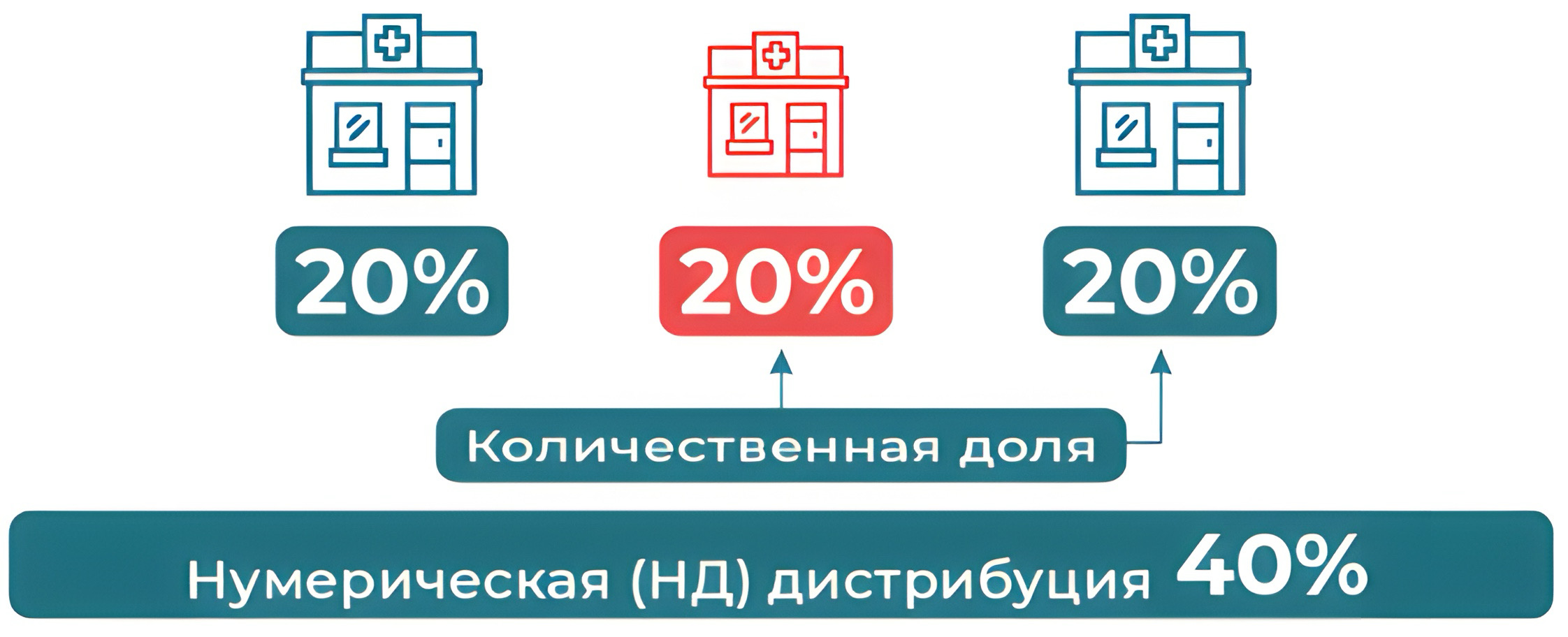 Numeric (или количественная) дистрибуция